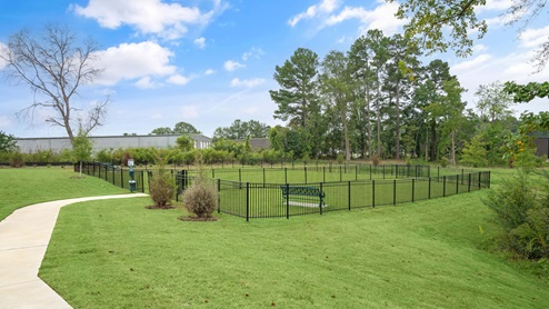 Dog park