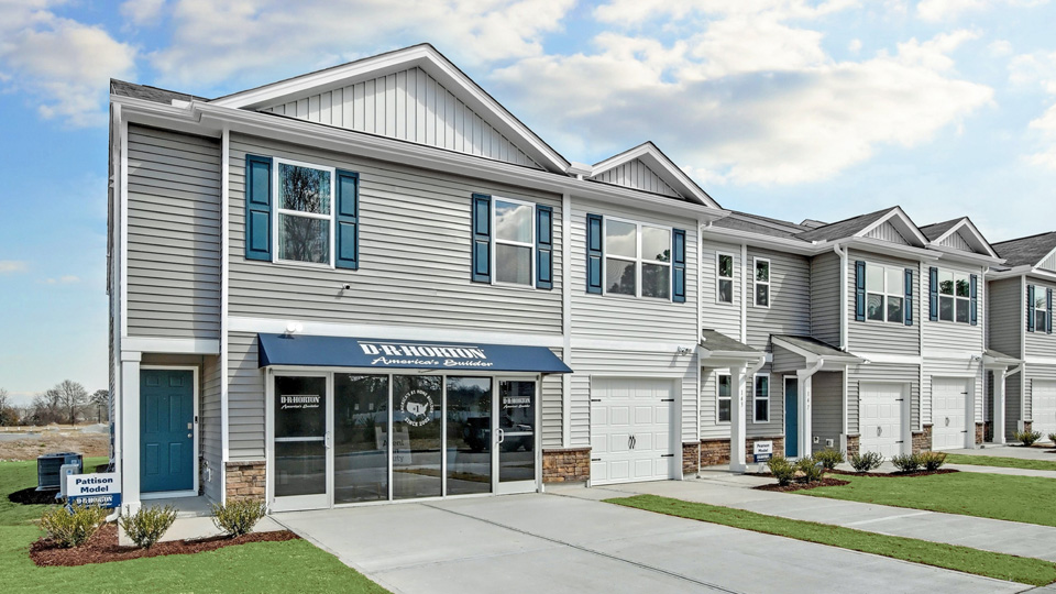 Pattison Pearson Model Building