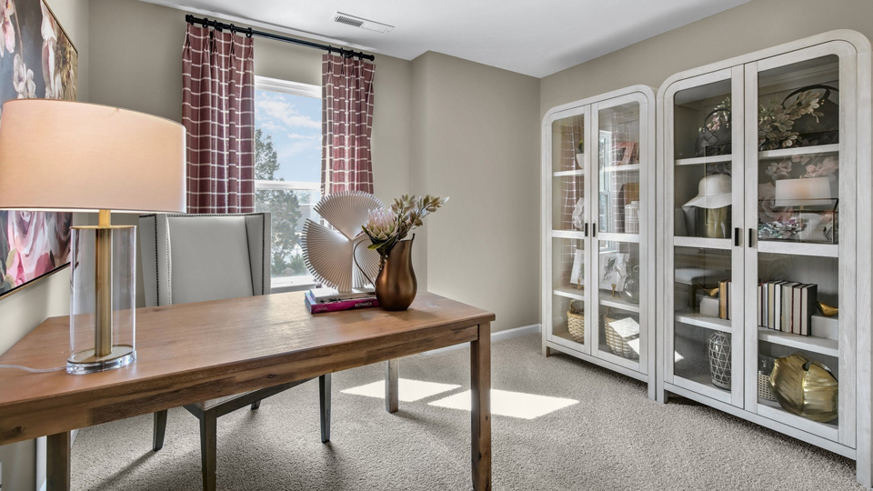 Pattison Model Study