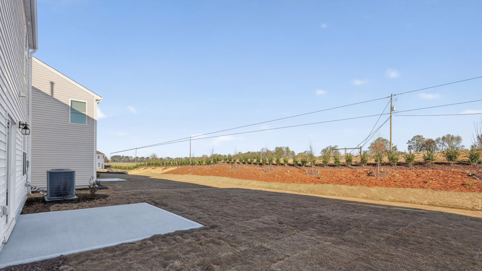 View from back patio