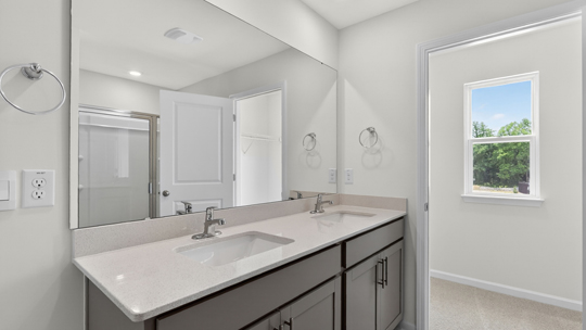 bathroom with dual vanity and walkin closet