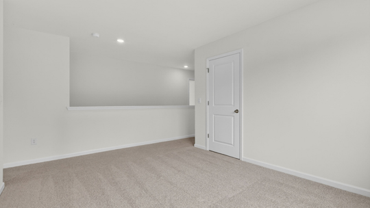 loft with carpet flooring