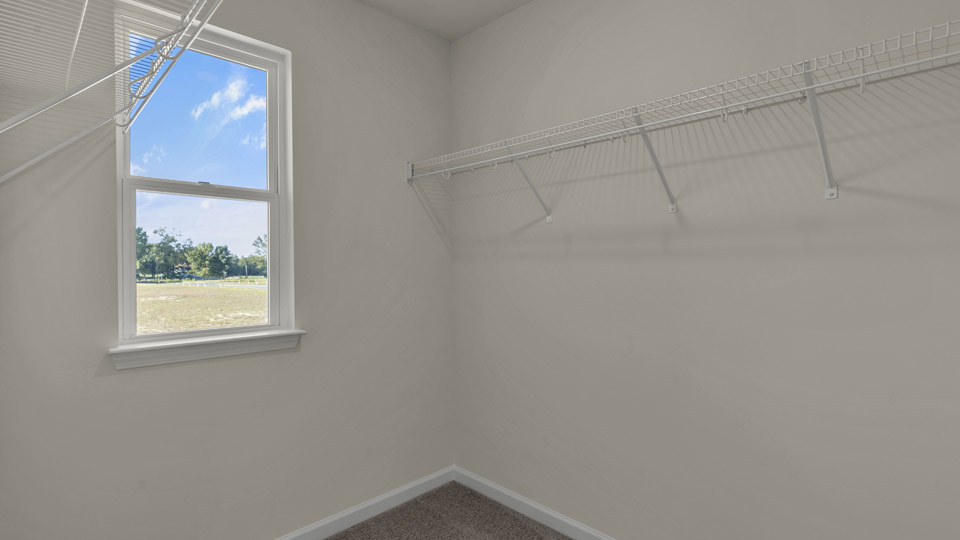 walk in closet with wire shelving