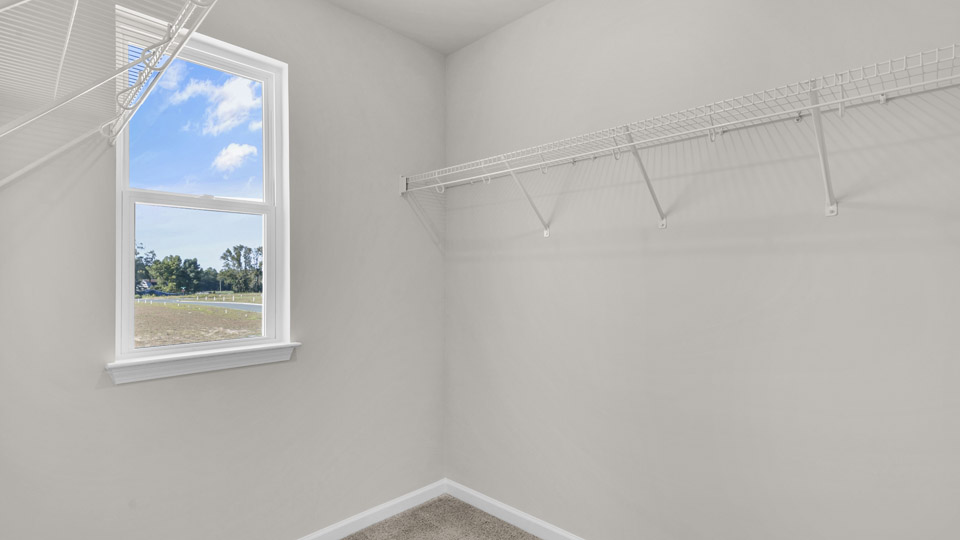 walk in closet with wire shelving