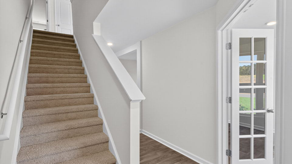 staircase with carpet stairs