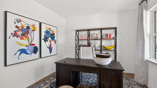 study with revwood flooring