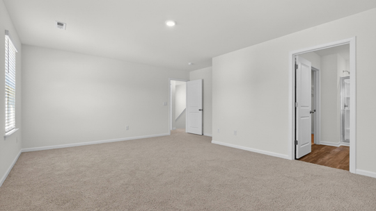 primary bedroom with carpet flooring