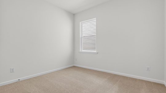 bedroom with carpet flooring