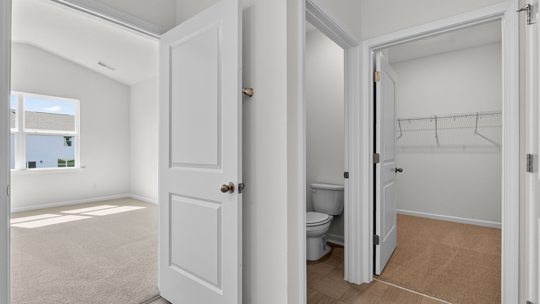 bathroom with walkin closet