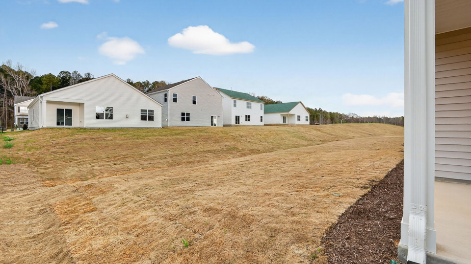 View from back patio