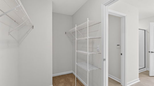 bathroom with shelving and walkin closet