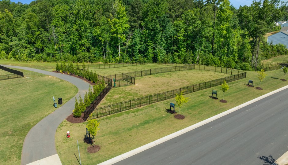 grass dog park