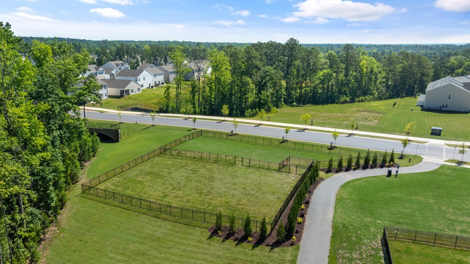 aerial photo of dog parks