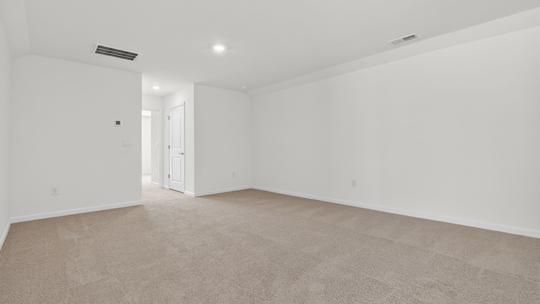 second floor bonus room with carpet