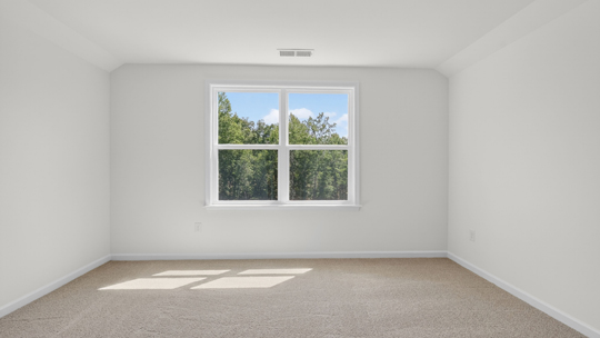 second floor bonus room with carpet