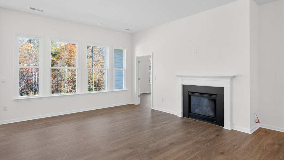 Living room with fireplace