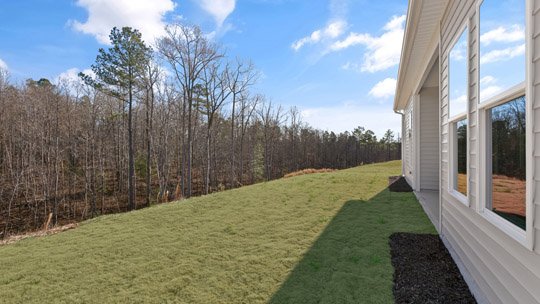 spacious backyard with treeline