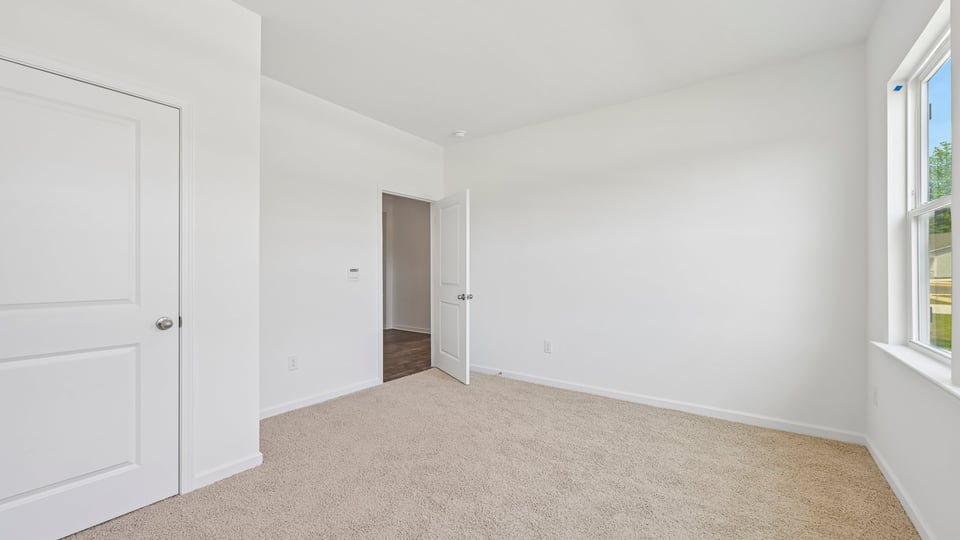 bedroom with carpet flooring
