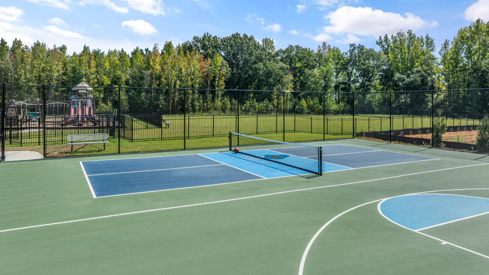 laurel oaks sports courts