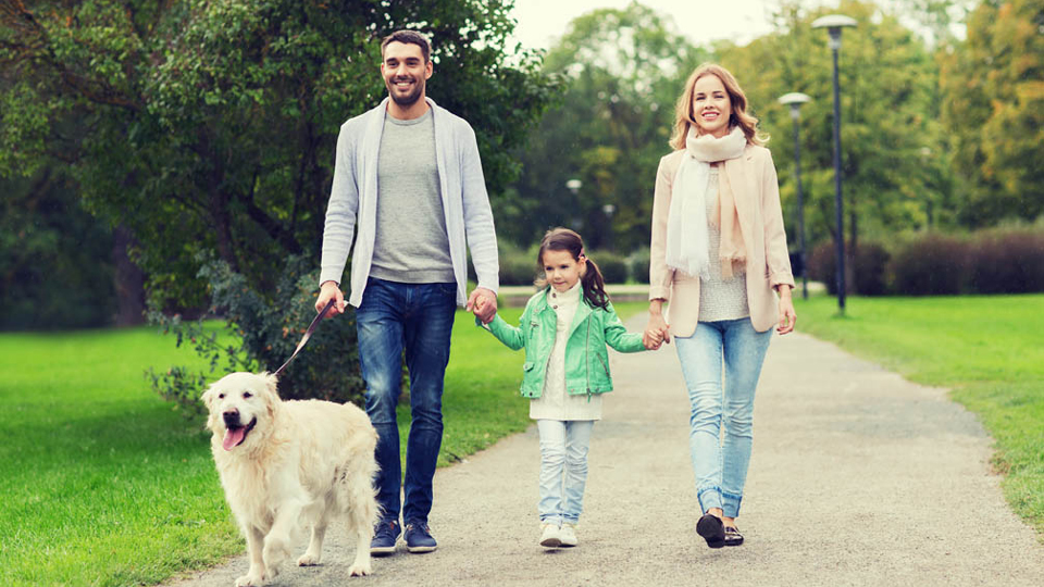family walking dog on trail