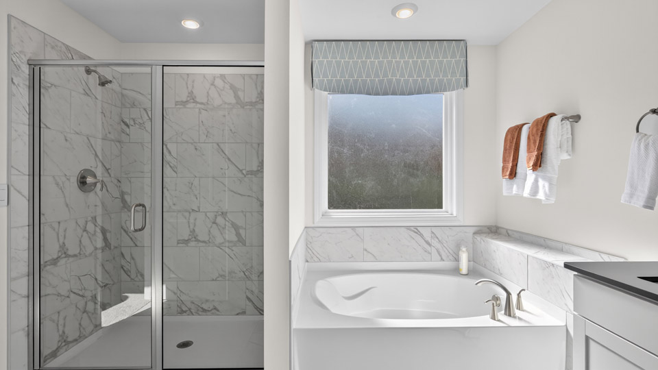 bathroom with separate tub and glass door walkin shower