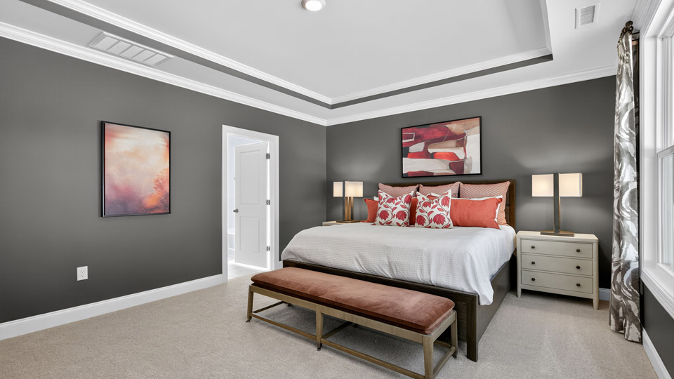 bedroom with tray ceiling