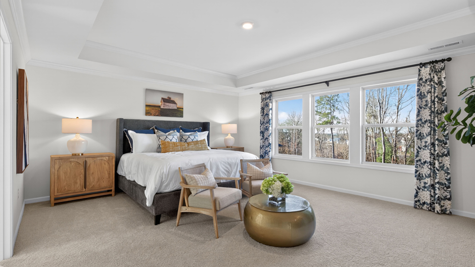 bedroom with tray ceiling