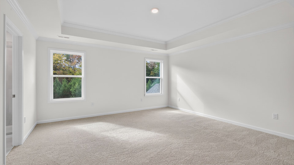 bedroom with tray ceiling and carpet flooring