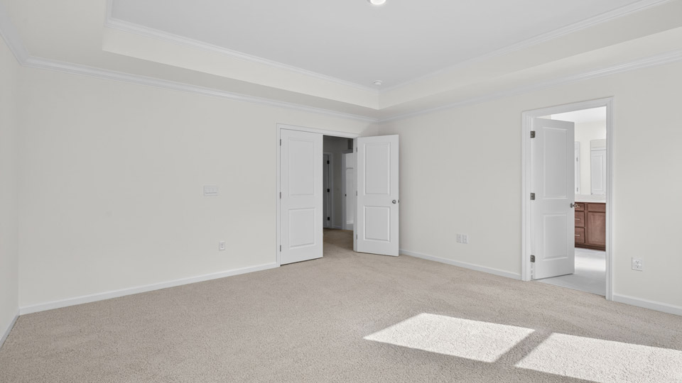 bedroom with tray ceiling and carpet flooring