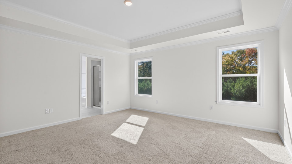 bedroom with tray ceiling and carpet flooring