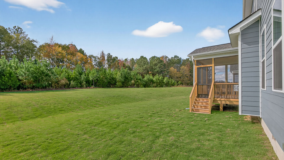 spacious backyard with treeline