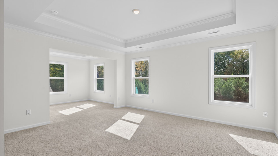 bedroom with tray ceiling and carpet flooring