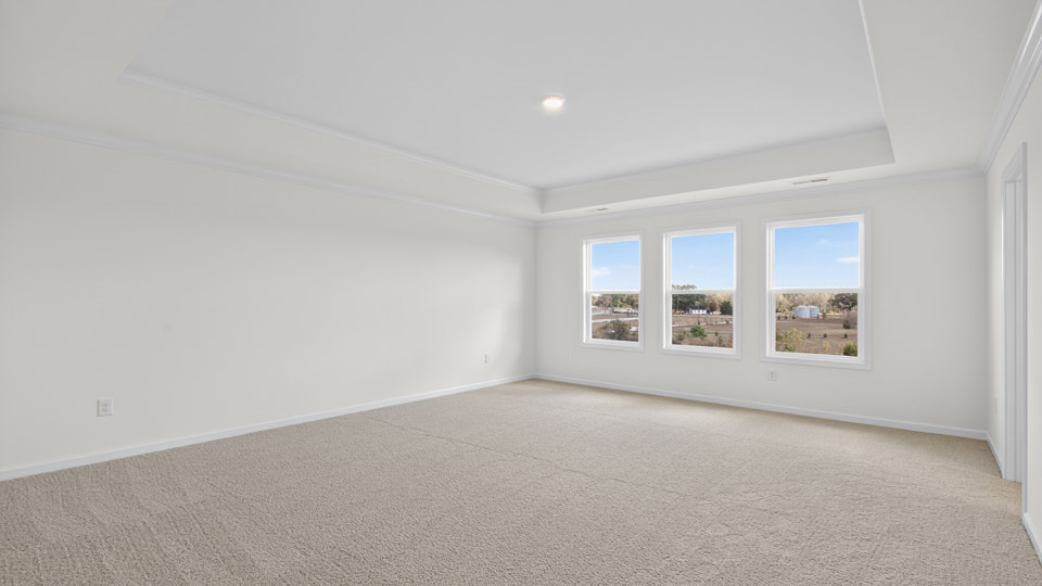 bedroom with tray ceiling and carpet flooring