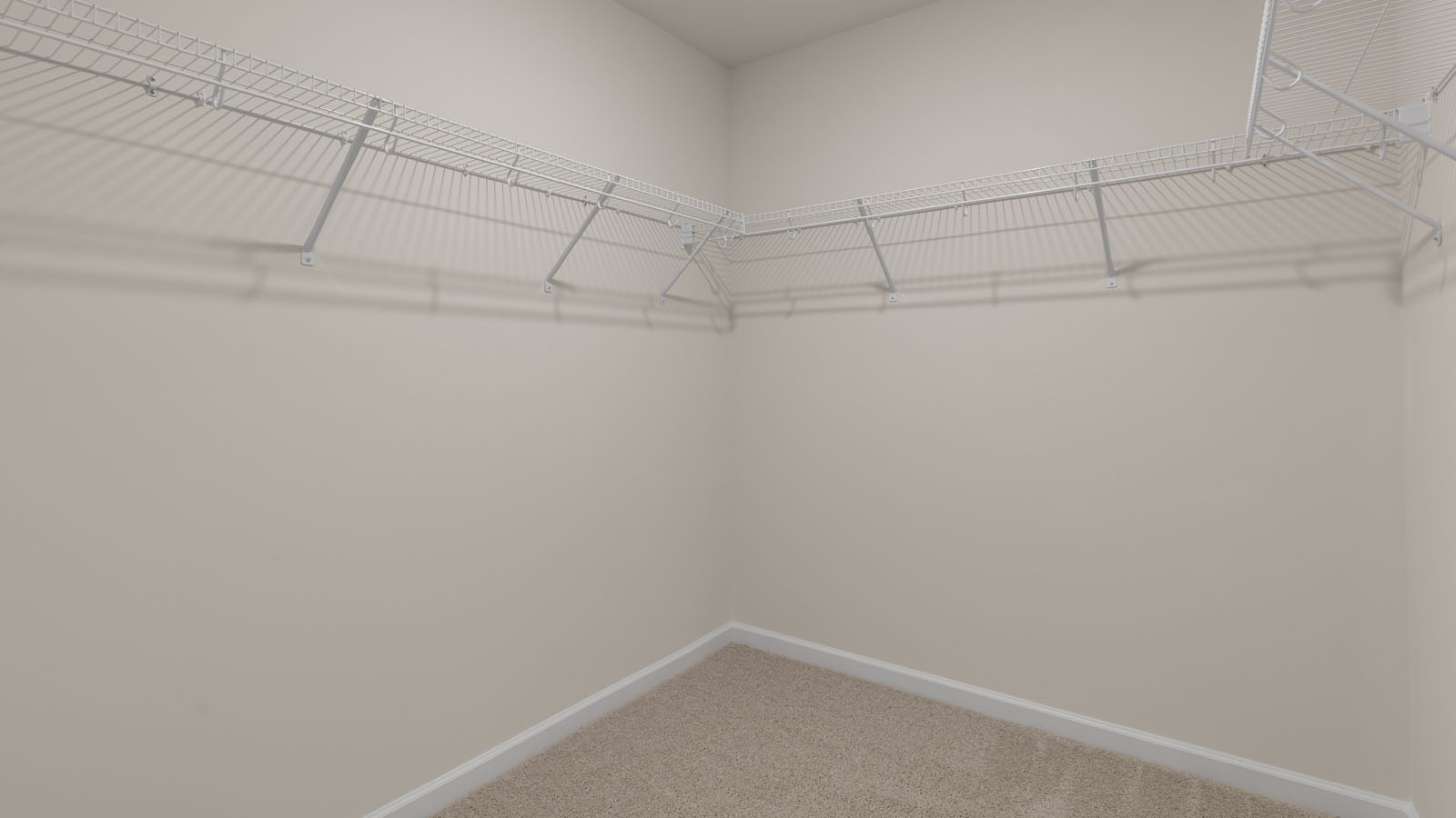 Walk-in closet with carpet flooring