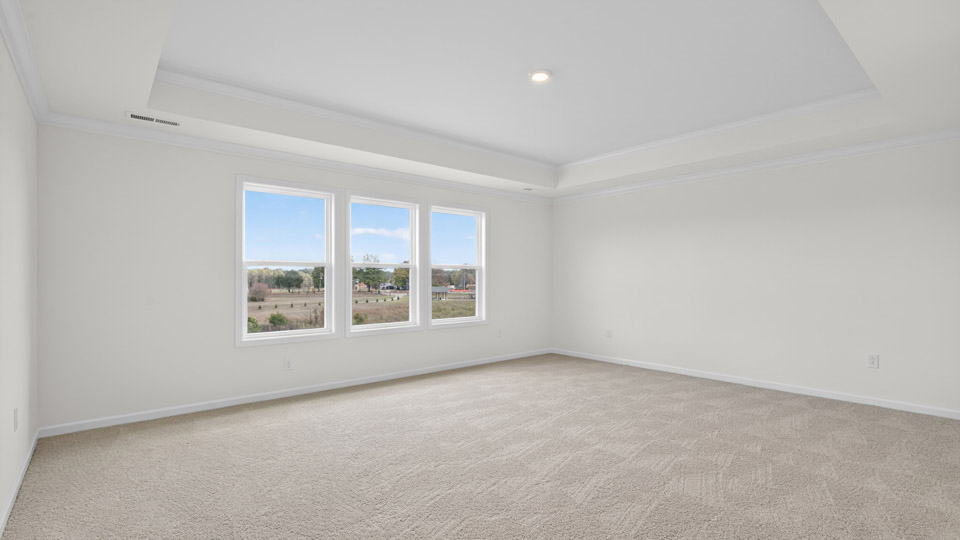 bedroom with tray ceiling and carpet flooring