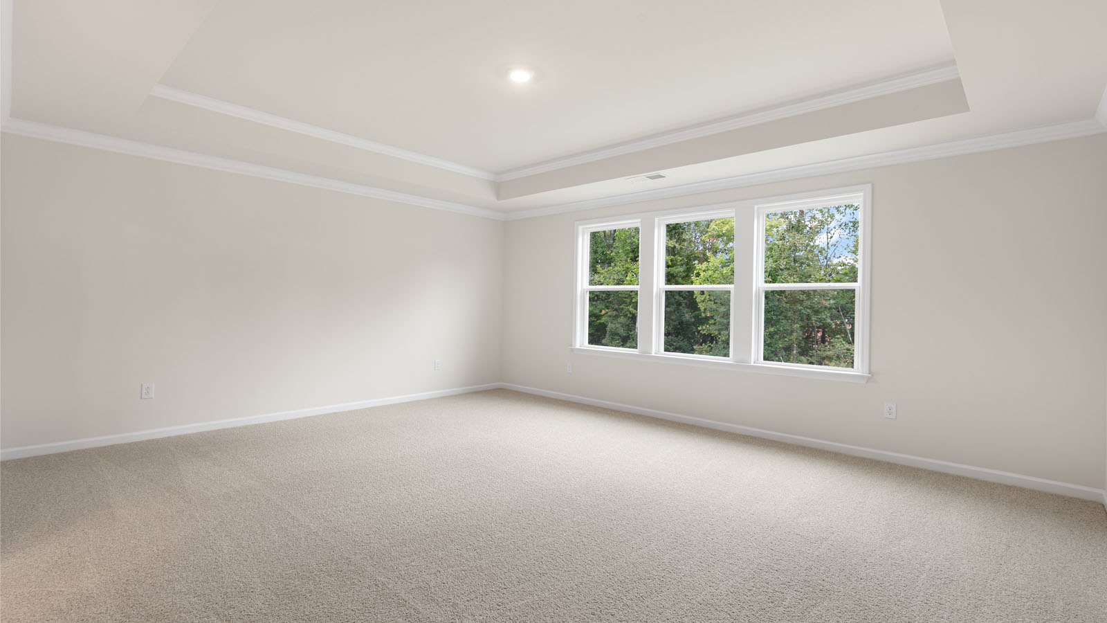 Primary bedroom with carpet flooring