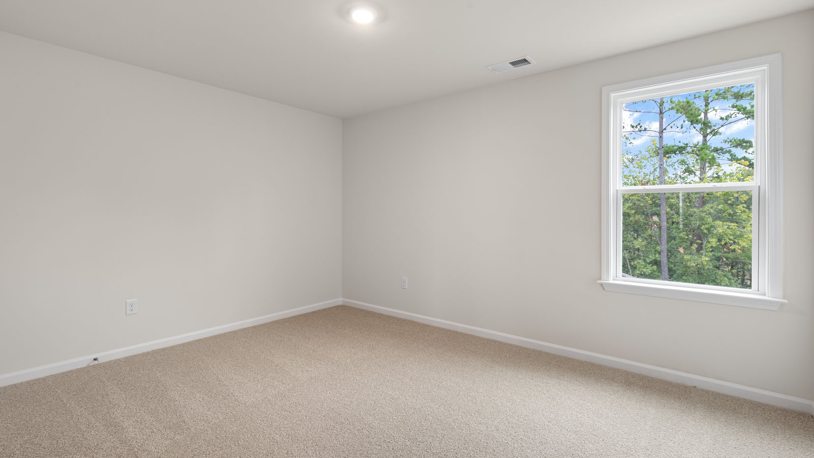 Primary bedroom with carpet flooring