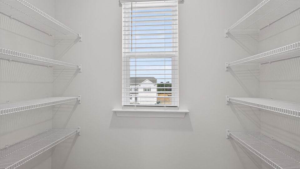 walk in closet with wire shelving