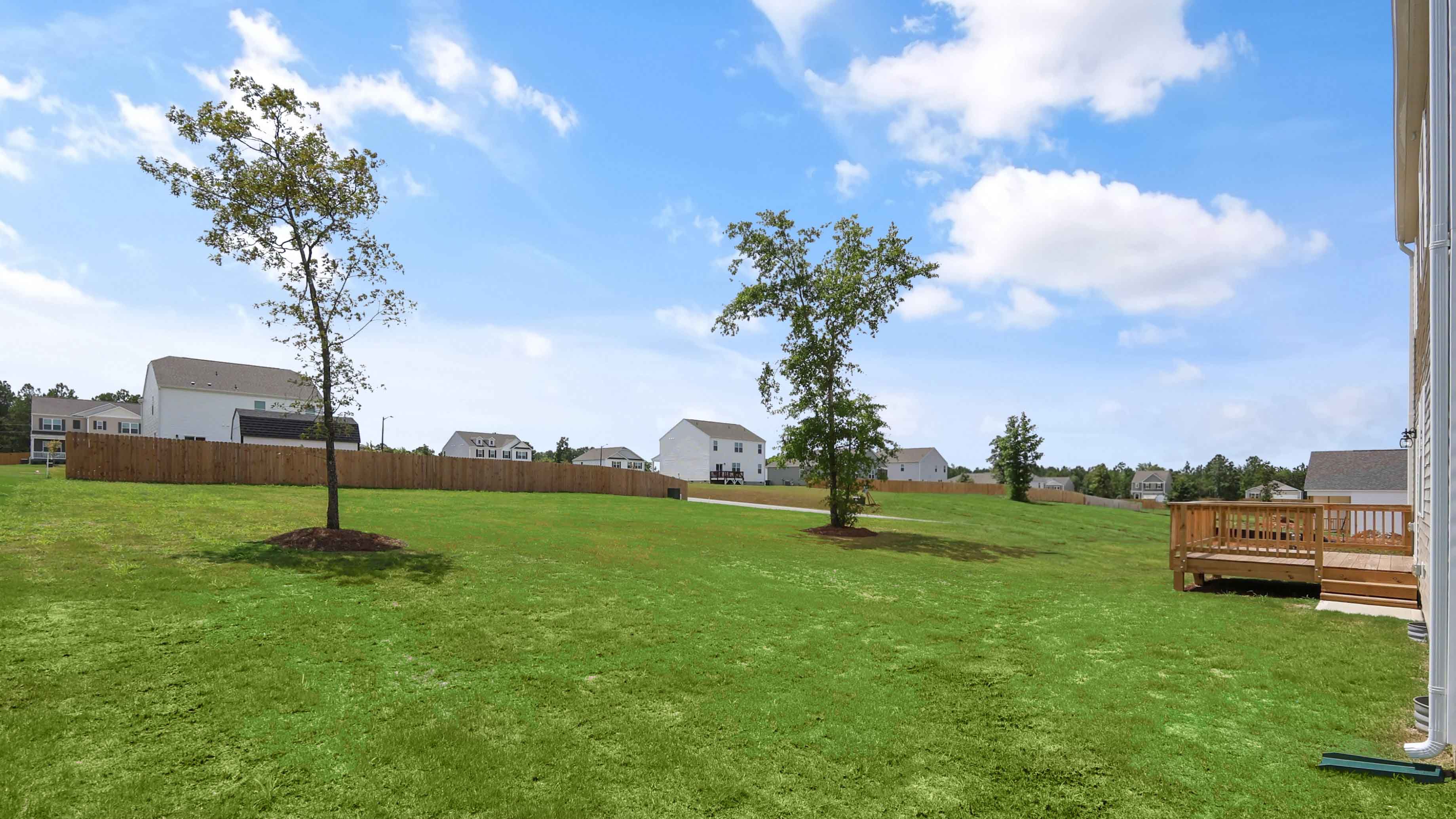 back exterior yard