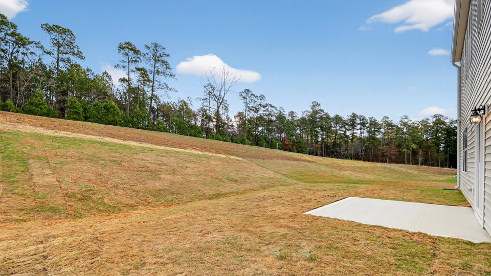 View from back patio