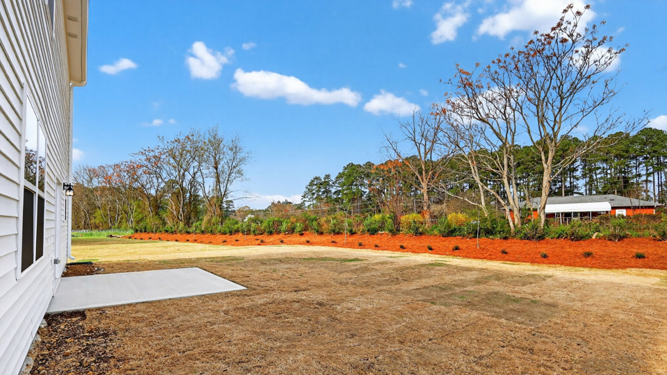 View from back patio