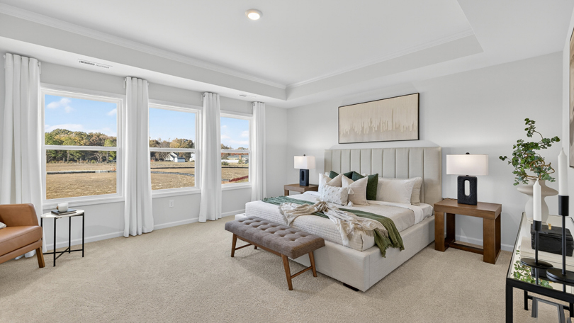 bedroom with tray ceiling