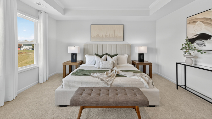 bedroom with tray ceiling