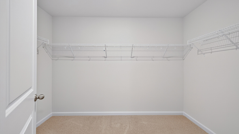 walk-in closet with wire shelving
