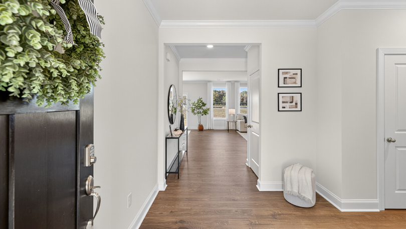 foyer entryway with revwood flooring
