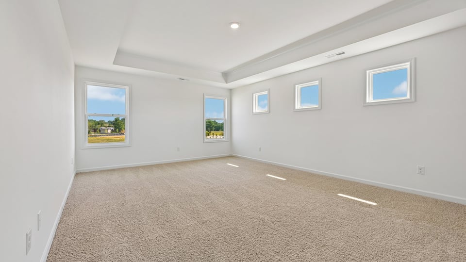 primary bedroom with tray ceiling and carpet flooring