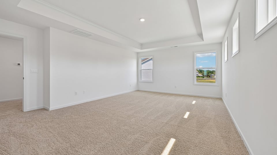 primary bedroom with tray ceiling and carpet flooring