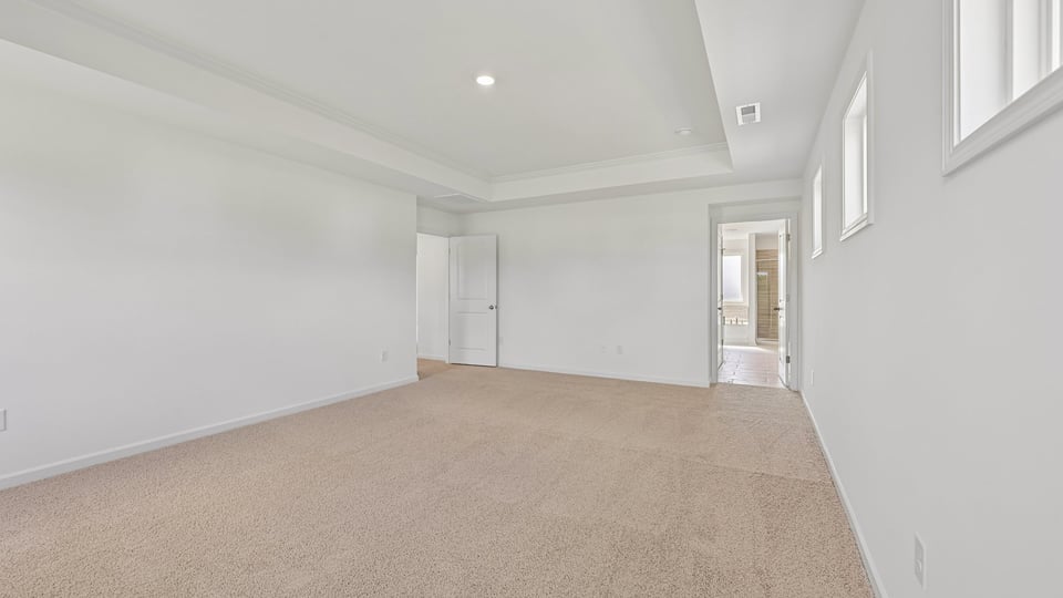primary bedroom with tray ceiling and carpet flooring
