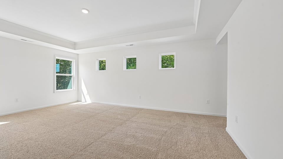 primary bedroom with tray ceiling and carpet flooring