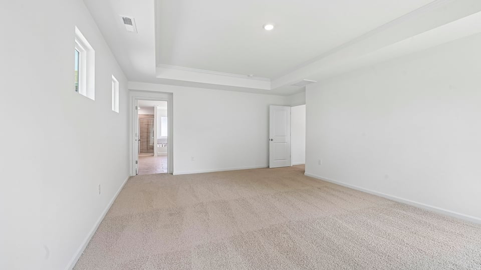 primary bedroom with tray ceiling and carpet flooring